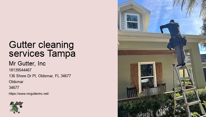 Reliable rain gutter installers Gutter cleaning services Tampa
