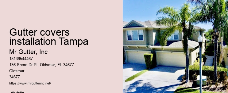 Gutter covers installation Tampa rain gutter repair