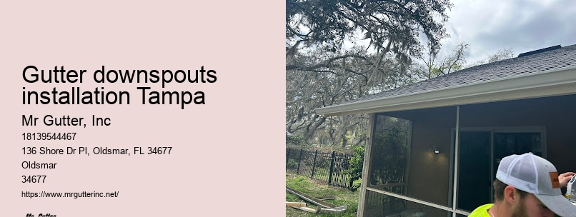 Top gutter installation contractors Gutter downspouts installation Tampa