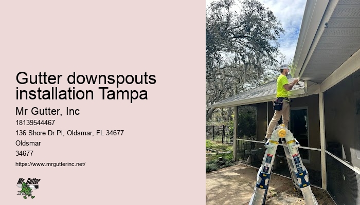 Reliable rain gutter installers Gutter downspouts installation Tampa