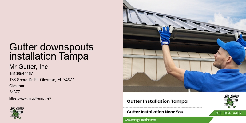 Gutter downspouts installation Tampa gutter repair and maintenance