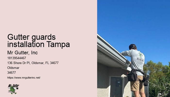 Residential gutter services Gutter guards installation Tampa