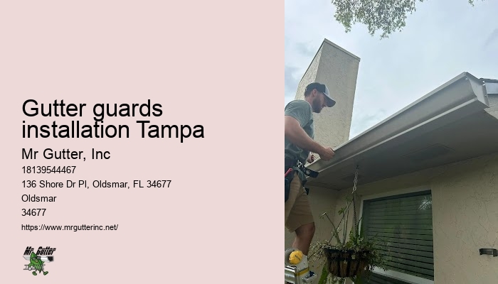 Gutter guards installation Tampa commercial gutter services