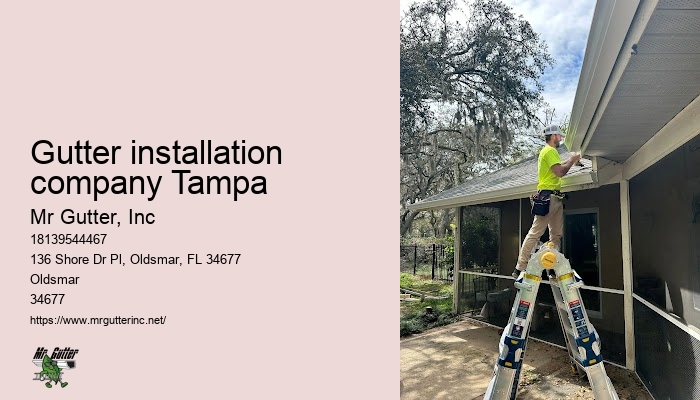 Gutter installation company Tampa gutter installation near me