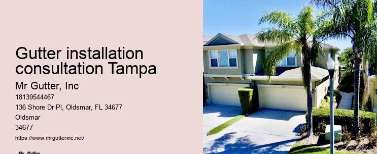 Green gutter installation Gutter installation consultation Tampa