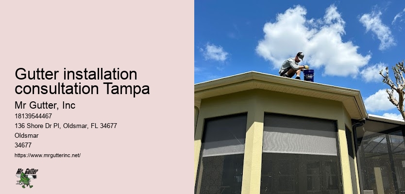 Trustworthy gutter installation Gutter installation consultation Tampa