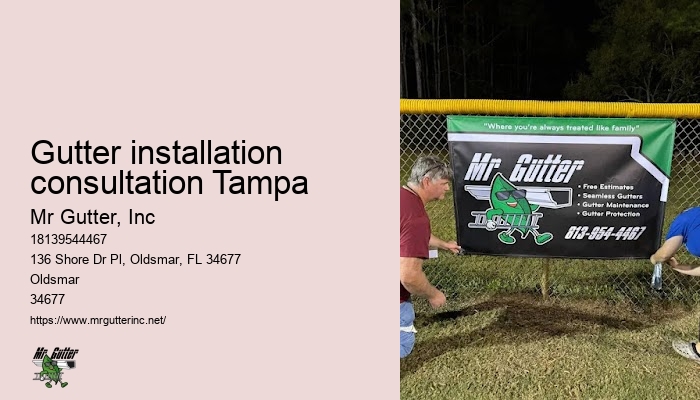 Veteran gutter installers Gutter installation consultation Tampa