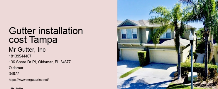 Gutter installation cost Tampa gutter installation promotions