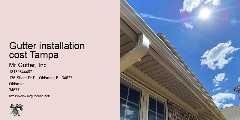 Gutter installation cost Tampa gutter upgrade services