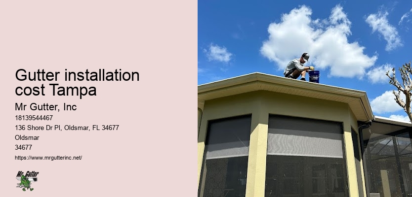 Gutter installation for new homes Gutter installation cost Tampa