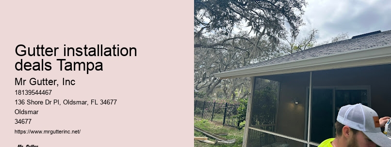 Gutter installation deals Tampa leaf guard gutter installation