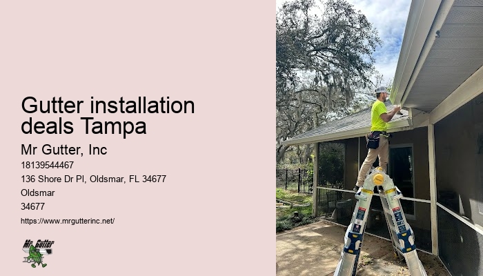 Best gutter installation company Gutter installation deals Tampa
