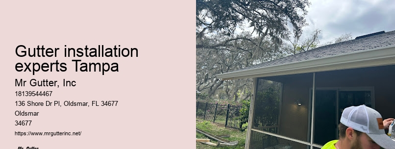 Local gutter services Gutter installation experts Tampa