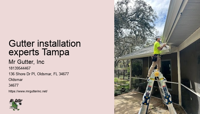 Gutter design and installation Gutter installation experts Tampa