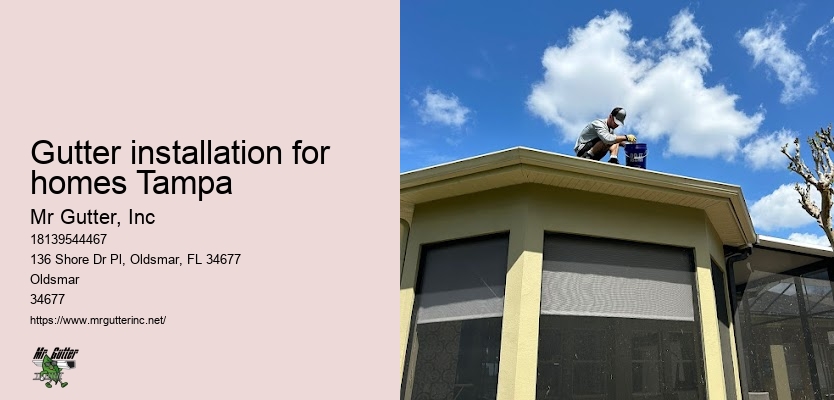 Gutter installation company near me Gutter installation for homes Tampa