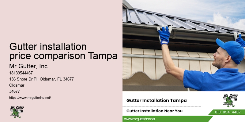 Gutter installation for government buildings Gutter installation price comparison Tampa