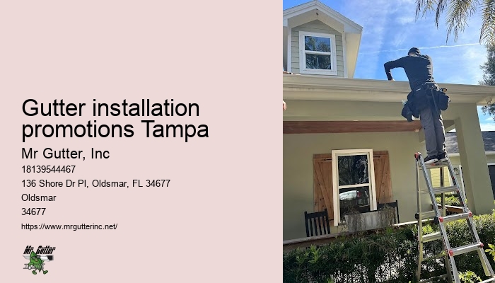 Gutter installation promotions Tampa gutter installers directory