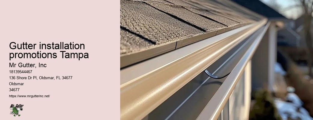 Quality gutter installers Gutter installation promotions Tampa