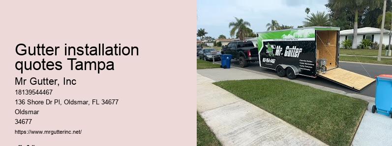 Gutter replacement professionals Gutter installation quotes Tampa