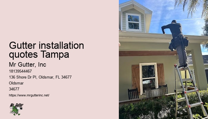 Professional gutter maintenance Gutter installation quotes Tampa