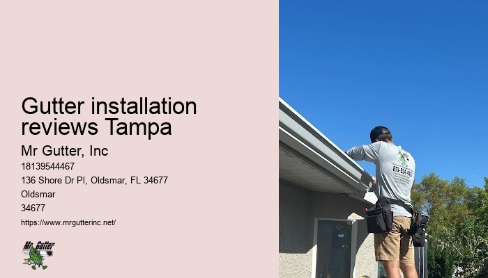 Best gutter cleaning Gutter installation reviews Tampa