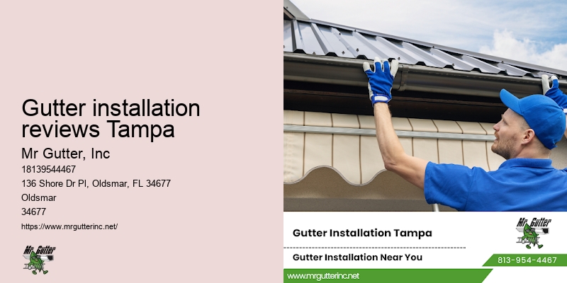Gutter installation reviews Tampa gutter guard systems