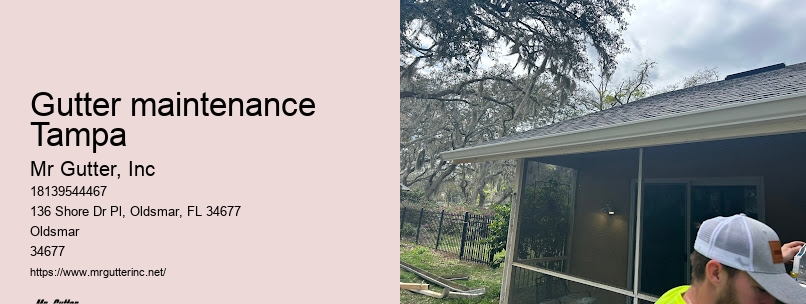 Gutter repair experts Gutter maintenance Tampa