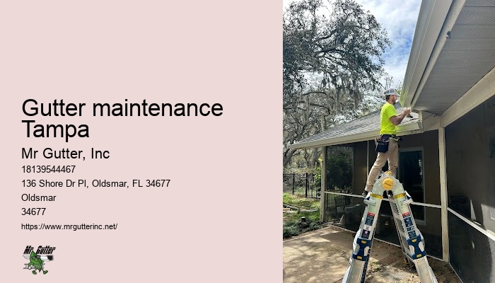 Downspout installation Gutter maintenance Tampa