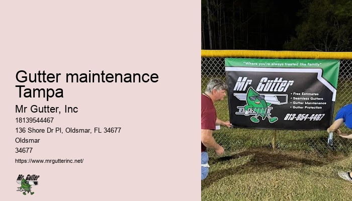 Gutter maintenance Tampa rain gutter systems