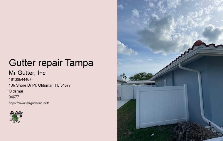 Vinyl gutter installation Gutter repair Tampa