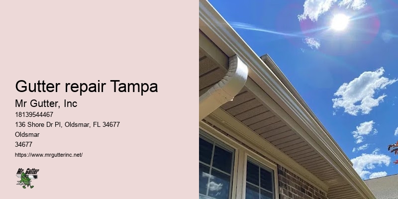 Gutter repair Tampa custom gutters