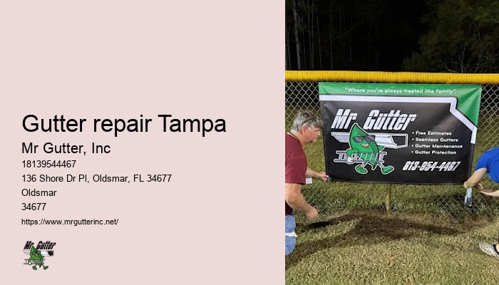 Downspout replacement Gutter repair Tampa