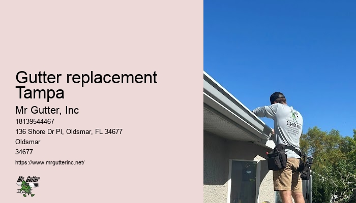 Gutter replacement Tampa gutter installation cost