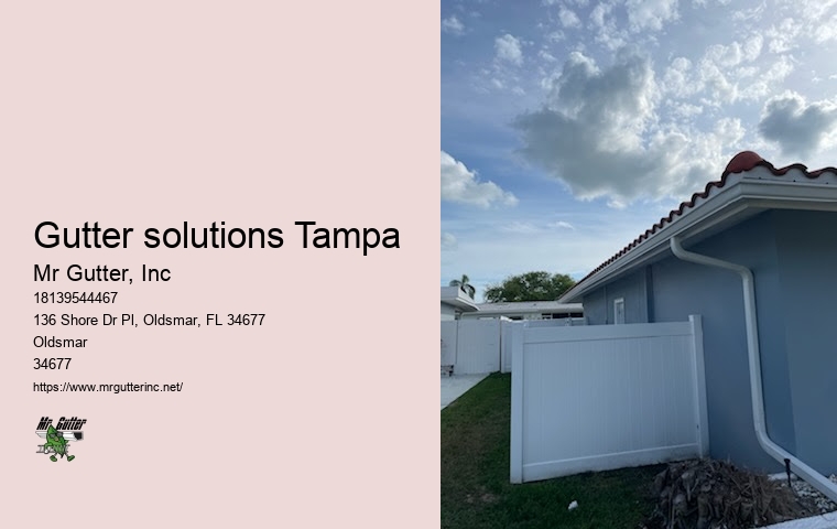 Quality gutter repair Gutter solutions Tampa