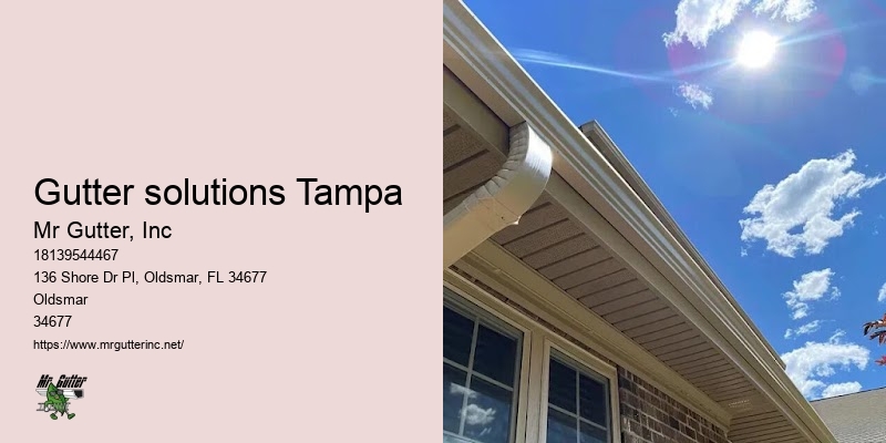 Top-rated gutter repair Gutter solutions Tampa