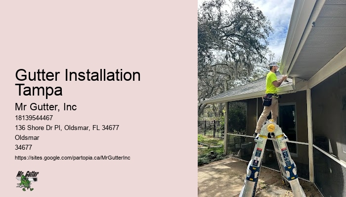 Professional gutter installation Gutter Installation Tampa
