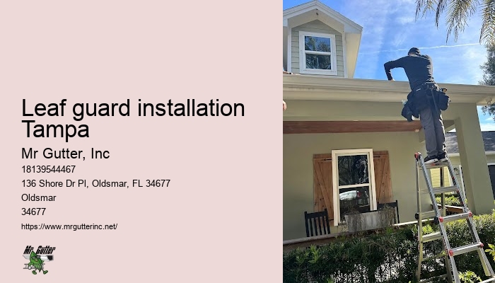 Professional rain gutter installation Leaf guard installation Tampa