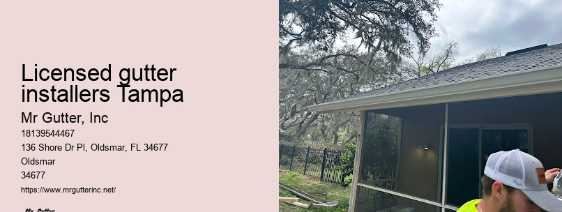 Fast and reliable gutter installation Licensed gutter installers Tampa