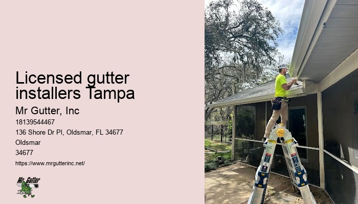 Gutter installation and maintenance Licensed gutter installers Tampa