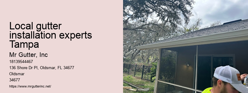 Local gutter installation experts Tampa leaf guard installation