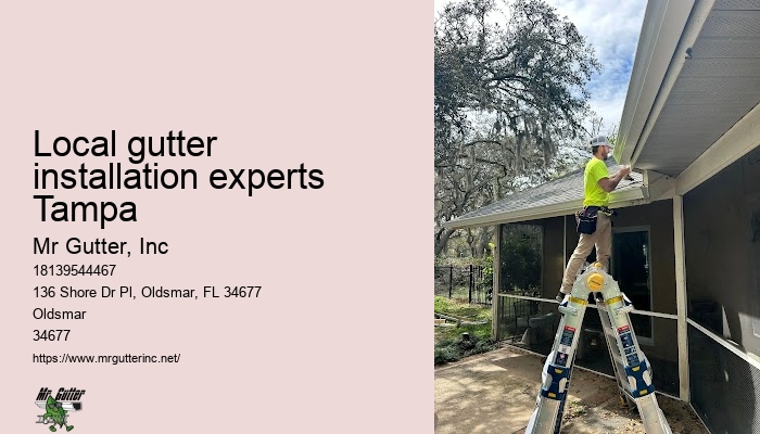Local gutter installation experts Tampa gutter systems installation