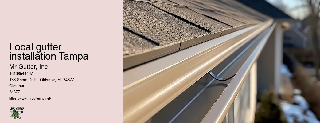 Gutter installation deals Local gutter installation Tampa