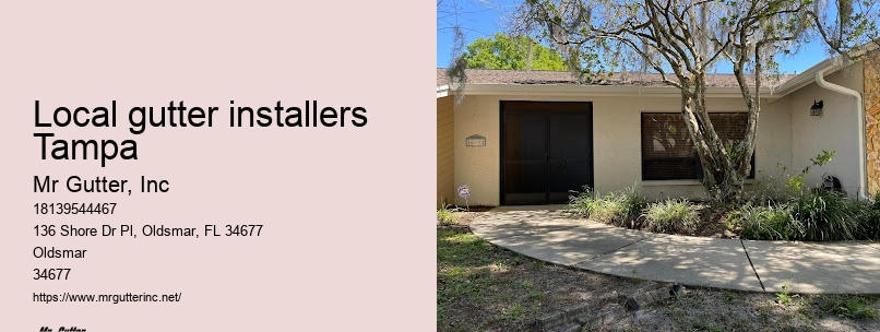Local gutter installers Tampa gutter repair professionals