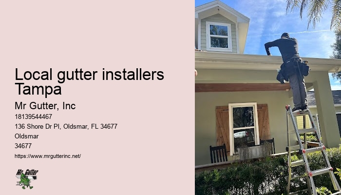 Gutter cleaning cost Local gutter installers Tampa
