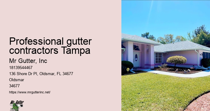 Gutter repair and installation Professional gutter contractors Tampa
