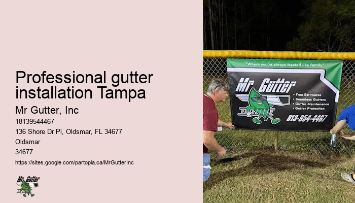 Best gutter installers in Professional gutter installation Tampa