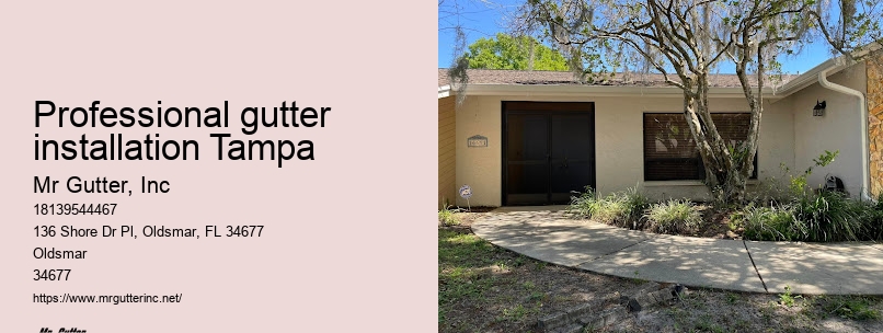 Professional gutter installation Tampa seamless gutter installation