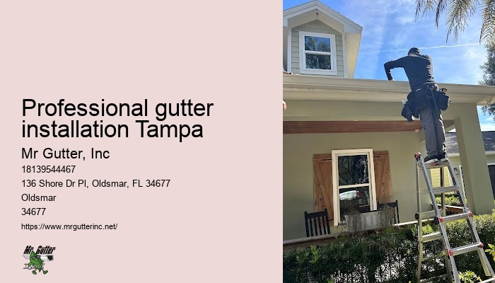 Professional gutter installation Tampa gutter repair and installation