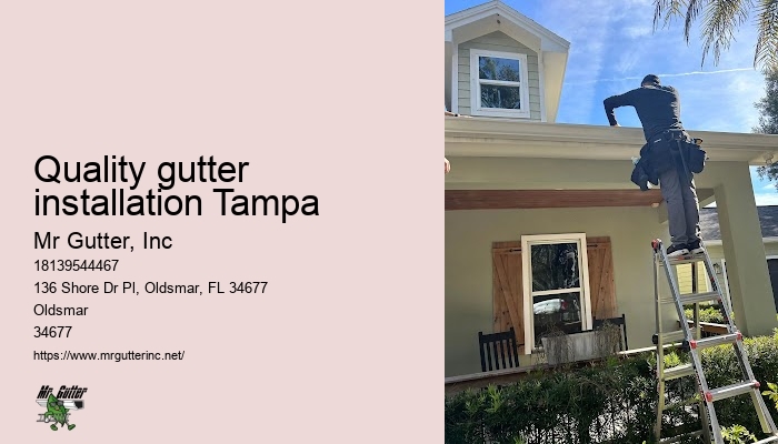 Quality gutter installation Tampa gutter installation estimate