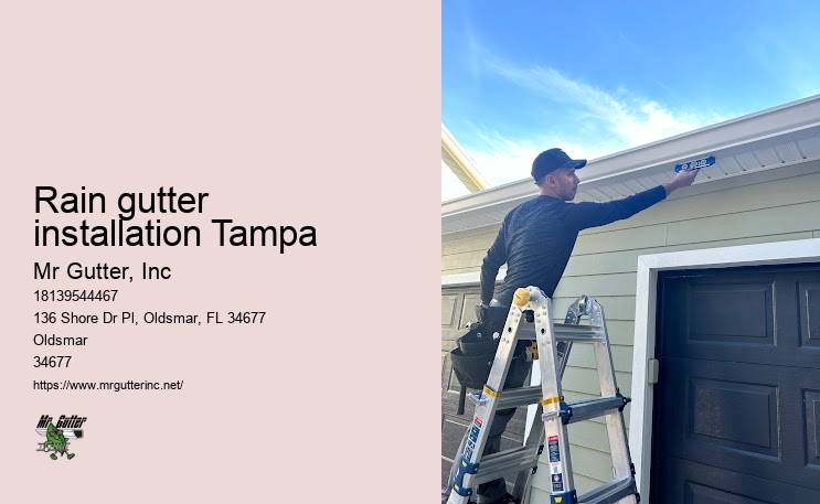Rain gutter installation Tampa seamless gutters